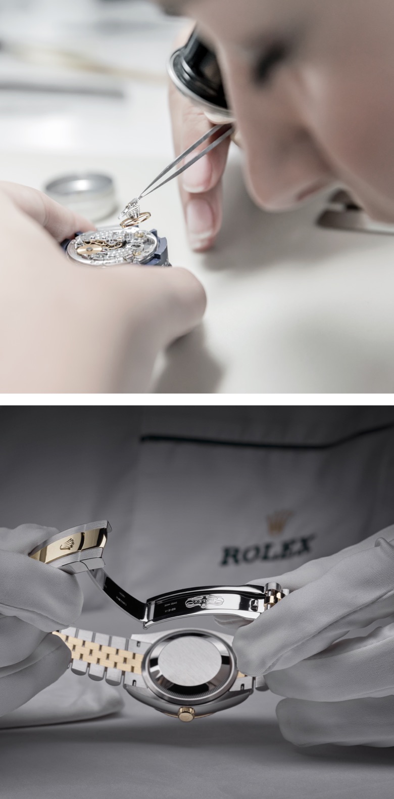 A voyage into the world of Rolex - NGG Timepieces