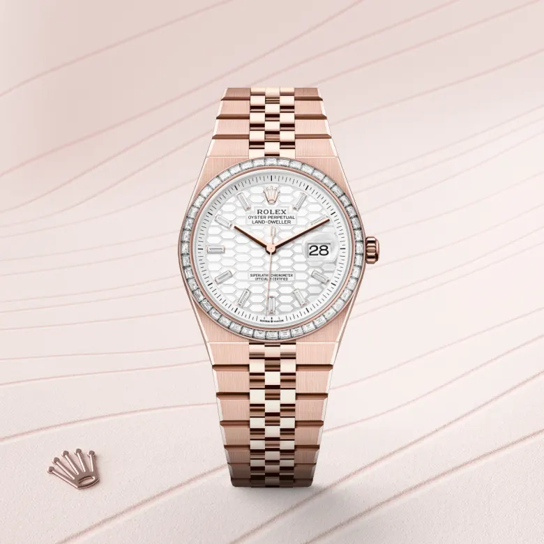 Rolex Land-Dweller in 18 ct Everose gold, M127285TBR-0002 - NGG Timepieces