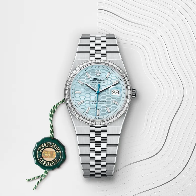 Rolex Land-Dweller in Platinum, M127286TBR-0001 - NGG Timepieces