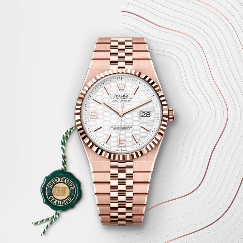 Rolex Land-Dweller in 18 ct Everose gold, M127335-0001 - NGG Timepieces