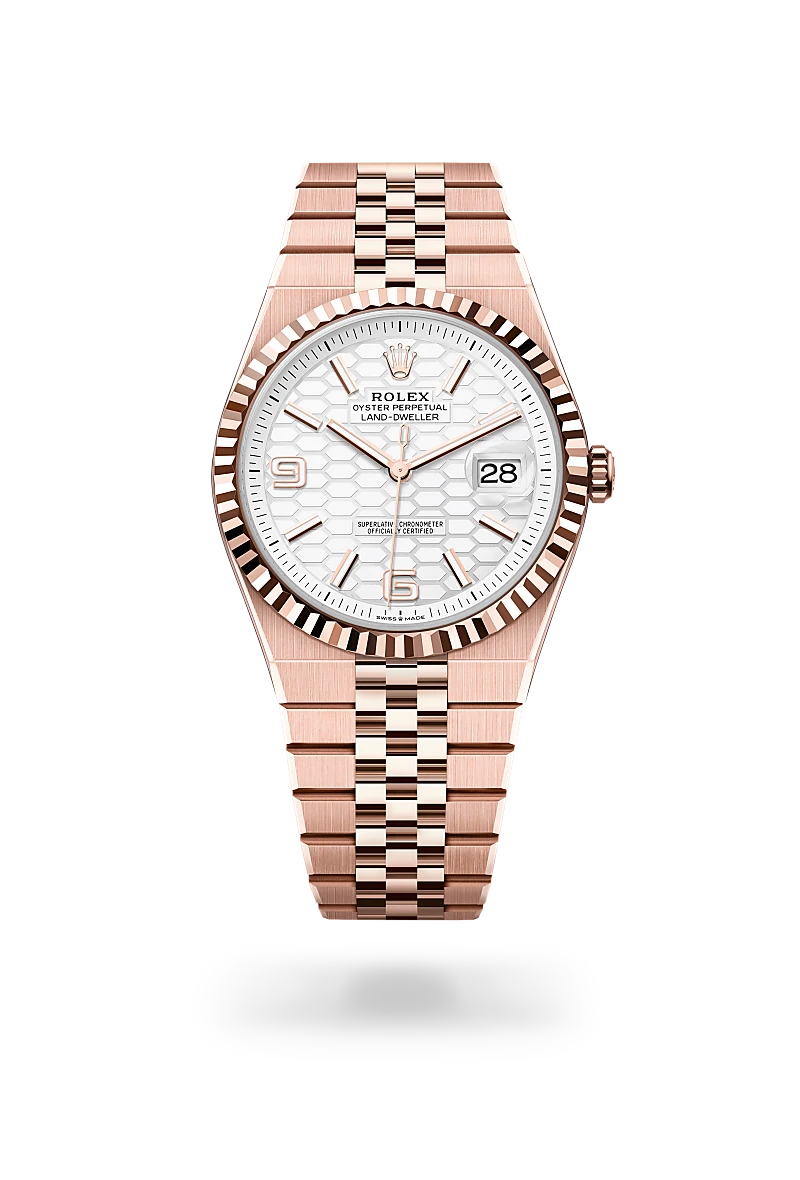 Rolex Land-Dweller in 18 ct Everose gold, M127335-0001 - NGG Timepieces