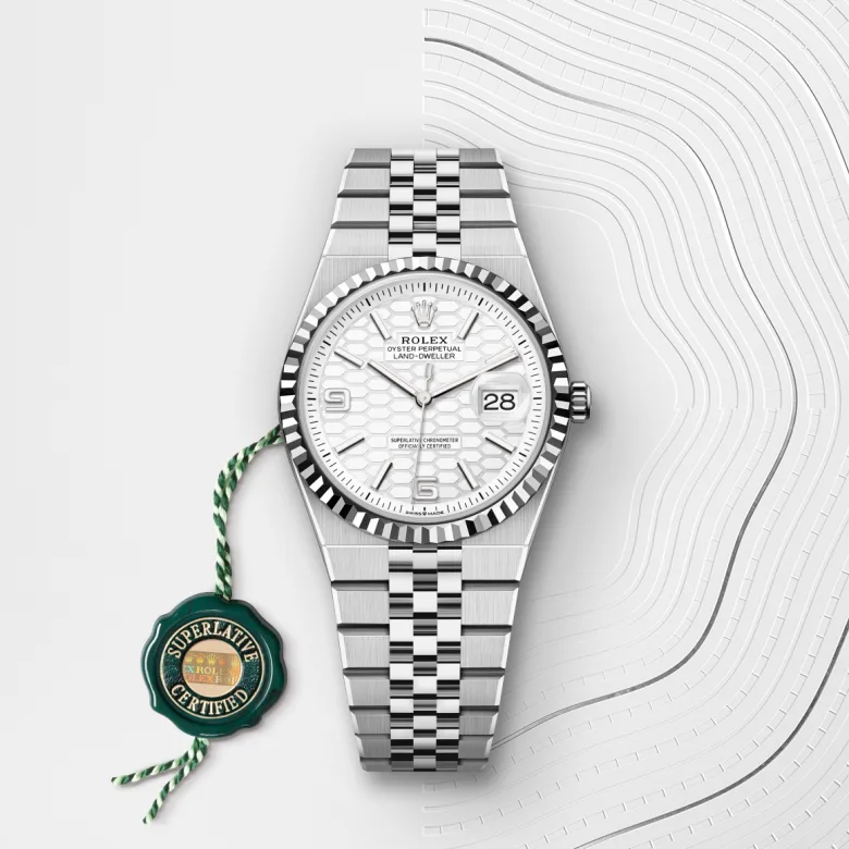 Rolex Land-Dweller in White Rolesor - การผสมผสานระหว่าง Oystersteel และทองคำขาว, M127234-0001 - NGG Timepieces