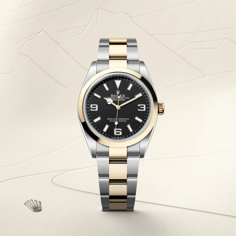 Rolex Explorer in Yellow Rolesor - combination of Oystersteel and yellow gold, M124273-0001 - NGG Timepieces