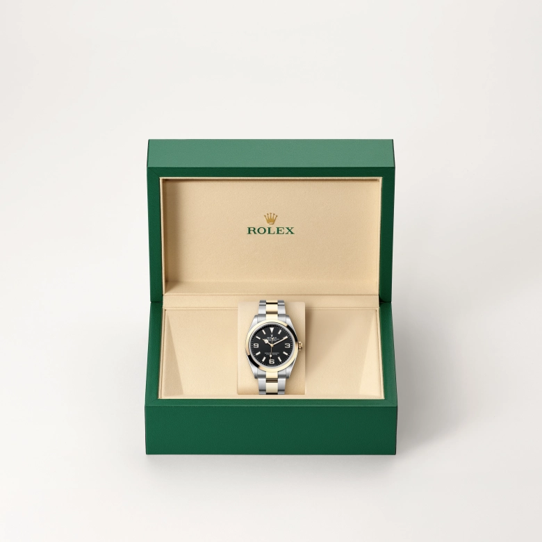 Rolex Explorer in Yellow Rolesor - combination of Oystersteel and yellow gold, M124273-0001 - NGG Timepieces
